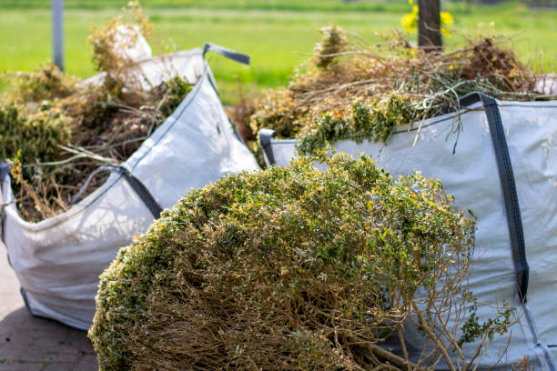 Best Same-Day Junk Removal  in Allendale, CA